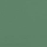 Foldable Party Tent Pop-Up with 4 Sidewalls Green 4004952