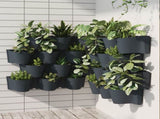 Vertical Garden Plant Set 12 pcs Anthracite Polypropylene 152206