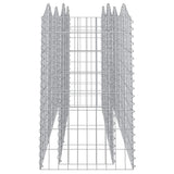 Arched Gabion Raised Bed 200x50x100 cm Galvanised Iron 153546