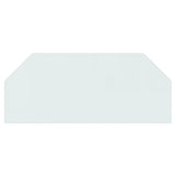 Fireplace Glass Plate Hexagon 120x50 cm 324137