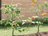 50 pcs Spiral Plant Supports 170 cm Galvanised Steel 142413