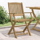 Folding Garden Chairs 4 pcs 54x61x88 cm Solid Wood Acacia 365742