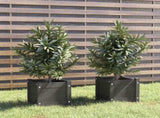Garden Planters 2 pcs Grey 31x31x31 cm Solid Pinewood 810527