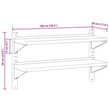 2-Tier Wall Shelf 100x30x60 cm Silver Stainless Steel 30310