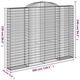 Arched Gabion Baskets 2 pcs 300x30x220/240 cm Galvanised Iron 3146629