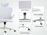 Office Chair/Massage Office Chair 18226400