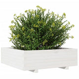 Garden Planter White 80x80x26.5 cm Solid Wood Pine 847309