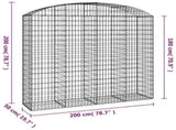Arched Gabion Basket 200x50x180/200 cm Galvanised Iron 153479