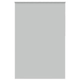 ZNTS Roller Blind Blackout Light Grey 150x230 cm Fabric Width 146.6 cm Polyester 4011476