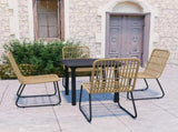 5 Piece Outdoor Dining Set Poly Rattan and Glass 3060238