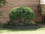 Lawn Edging 6 pcs Black 60 x 60 x 13 cm Steel 874731