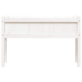 Garden Planters 2 pcs with Legs White Solid Wood Pine 837567