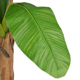 Artificial Banana Tree with Pot 250 cm Green 245948