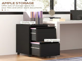 2-Drawer Mobile Filing Cabinet, Steel Lockable File Cabinet for Letter, A4 and Legal Size, T3398P341014