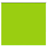 ZNTS Roller Blind Blackout Leaves Green 150x130 cm Fabric Width 146.6 cm Polyester 4011242