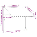 Manual Retractable Awning with LED 250 cm Anthracite 145865