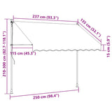Manual Retractable Awning 250 cm Blue and White Stripes 43221