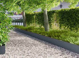 Lawn Edging 20 pcs metal 8008313