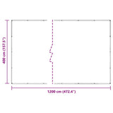 Clear Tarpaulin with Eyelets 4x12 m PVC 4018611
