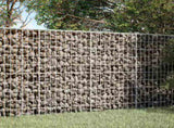 Gabion with 5 mm Wire and 5x10 cm Mesh 50x20x100 cm 3464539