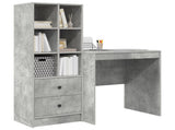Desk with Drawer with Shelf with Storage 2 pcs Concrete Grey 3337348
