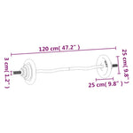 ZNTS Barbell with Plates Set 30 kg Cast Iron & Chrome Plated Steel 93628