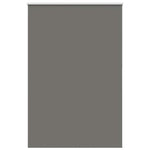 ZNTS Roller Blind Blackout Grey 155x210 cm Fabric Width 151.6 cm Polyester 4011191