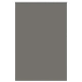 ZNTS Roller Blind Blackout Grey 155x210 cm Fabric Width 151.6 cm Polyester 4011191