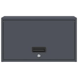 Wall Cabinet for Garage with Gas-lift Door Anthracite 883282