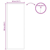 Wall Mirror Rectangular 40 x 100 cm Tempered Glass 42023025