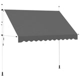143690 Manual Retractable Awning 300 cm Anthracite