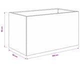 Garden Planter Black 100 x 50 x 50 cm Cold-rolled Steel 8005274