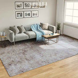 Rug Washable Grey 400x300 cm 136633