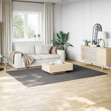 Shaggy Rug Anthracite 200x275 cm Polyester 353823