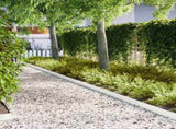 Lawn Edging 50 pcs White 100 x 0.05 x 15 cm Cold Rolled Steel 865925