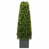 Eucalyptus Grass Tower Green 27 x 27 x 90 cm Plastic 42008330