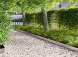 Lawn Edging 10 pcs 103 x 15 cm Steel Silver 8008460