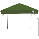 Canopy Tent Manual Green 243 x 243 x 251 cm Fabric 42007378