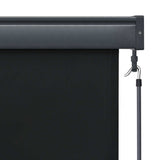 Outdoor Roller Blind 100x250 cm Anthracite 145958