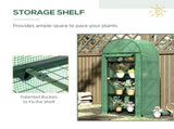 Mini Walk-in Greenhouse 11009256