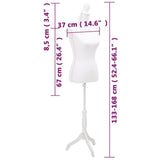 Ladies bust Display bust white 30022