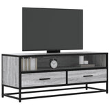 TV Cabinet Grey Sonoma 100x34.5x40 cm Engineered Wood and Metal 848817