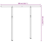 Awning Post Set Anthracite 300x245 cm Iron 315099