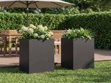 Garden Planter 2 pcs Black 30 x 30 x 40 cm Cold-rolled Steel 8005331