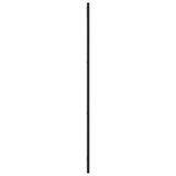 Wall Mirror Black 30x100 cm Rectangle Iron 358643