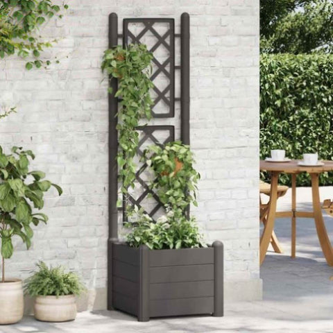 Garden Planter with Trellis 43x43x142 cm PP Anthracite 313981