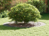 suitable for Flat Tree Ring Silver 90 / 120 cm Galvanised steel 873728