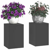 Plant Stand 2 pcs Black 24 x 24 x 35 cm Steel 865806