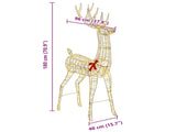 3D Reindeer 250 LEDs Warm white 96 x 40 x 180 cm PET 42019059