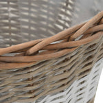 Raised Bed 4 pcs Wicker with PE Lining 246830